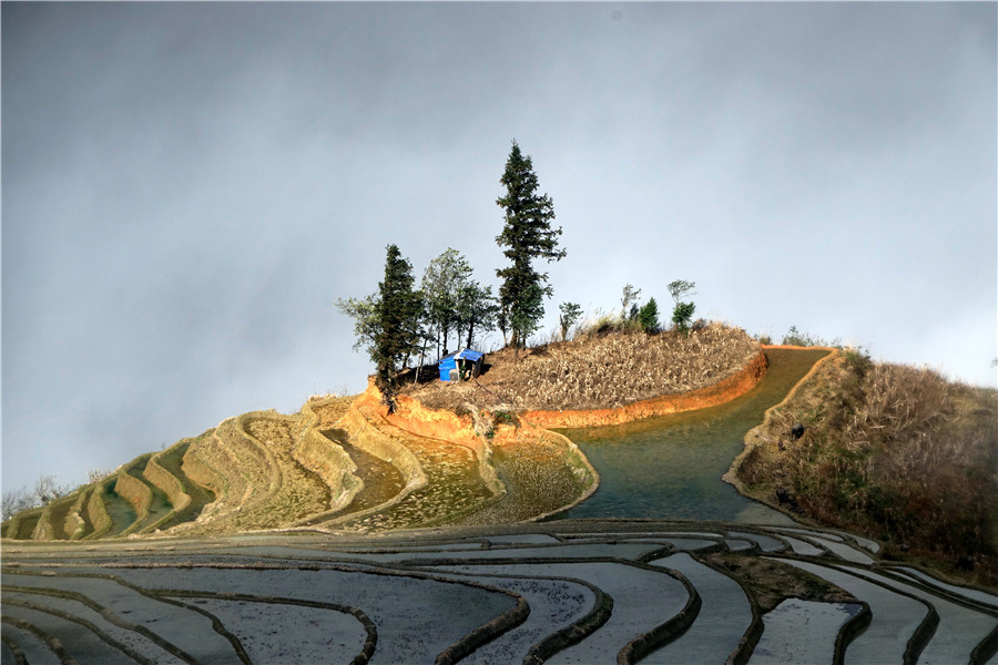 Azheke Rice Terraces in Yuanyang County (18)