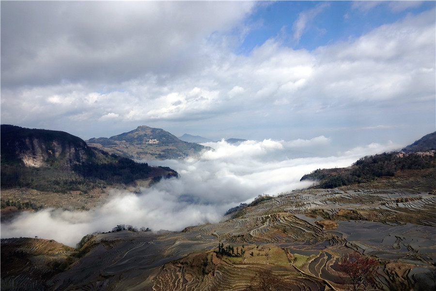 Azheke Rice Terraces in Yuanyang County (2)