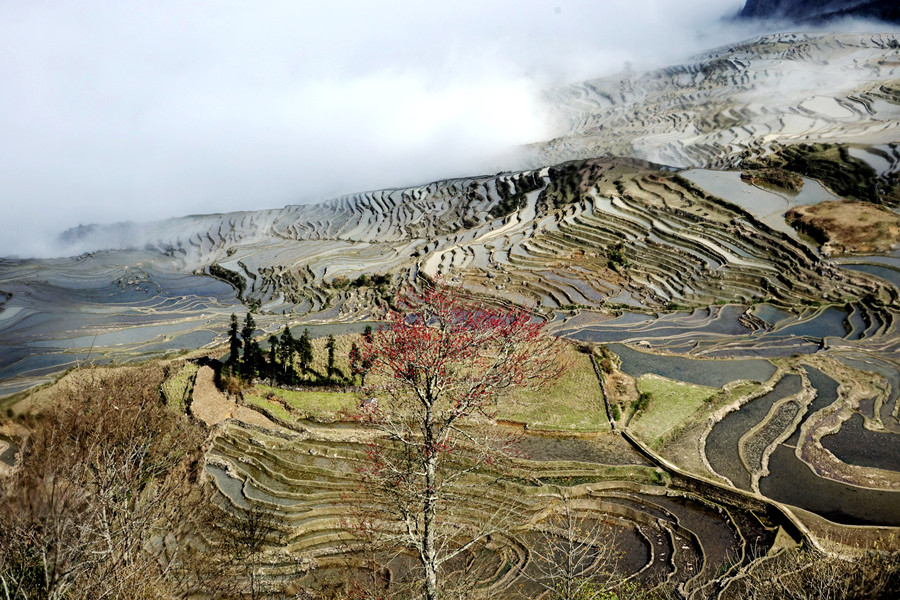 Azheke Rice Terraces in Yuanyang County (20)