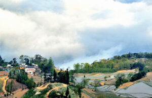 Azheke Rice Terraces in Yuanyang County (21)