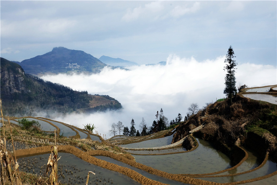 Azheke Rice Terraces in Yuanyang County (8)