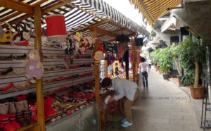 Jingxing Flowers and Birds Market in Kunming (6)