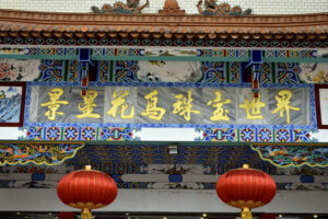 Jingxing Flowers and Birds Market in Kunming (8)