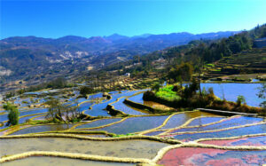 Qingkou-Hani-Rice-Terraces-in-Yuanyang-County-Honghe-02