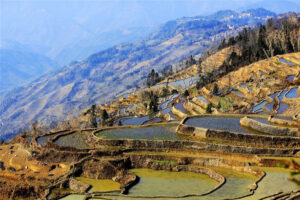 Qingkou-Hani-Rice-Terraces-in-Yuanyang-County-Honghe-08