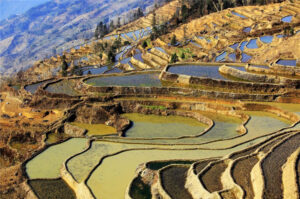 Qingkou-Hani-Rice-Terraces-in-Yuanyang-County-Honghe-09