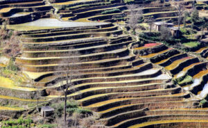 Qingkou-Hani-Rice-Terraces-in-Yuanyang-County-Honghe-15