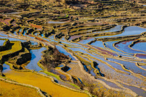 Qingkou-Hani-Rice-Terraces-in-Yuanyang-County-Honghe-16