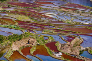 Qingkou-Hani-Rice-Terraces-in-Yuanyang-County-Honghe-20