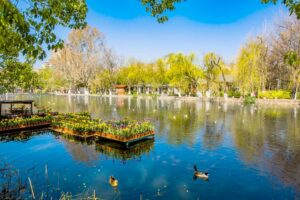 The Green Lake Park, Kunming (3)