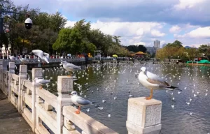 The Green Lake Park, Kunming (4)