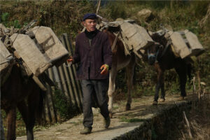 Travel-to-Azheke-Village-and-Azheke-Rice-Terraces-in-Yuanyang-County-18