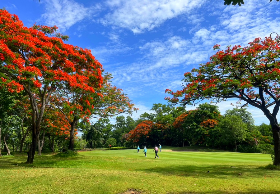 Dynasty Golf & Country Club in Nakhon Pathom, Thailand (1)