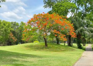 Dynasty Golf & Country Club in Nakhon Pathom, Thailand (20)