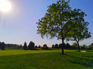 Evergrand Shadow Creek Golf Club in Beijing (4)