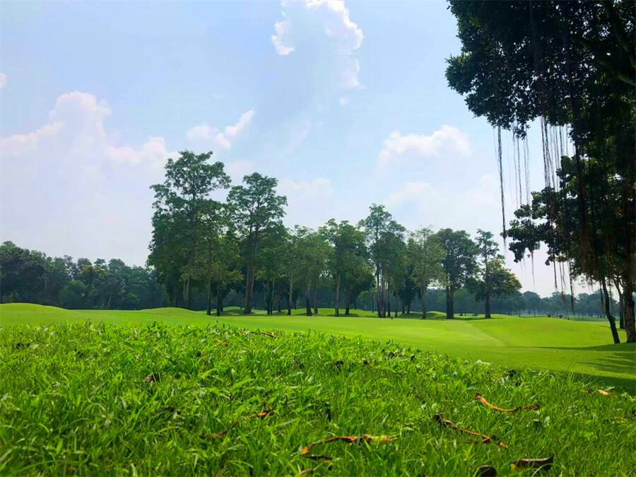 Lam Luk Ka Country Club in Pathum Thani, Thailand (12)