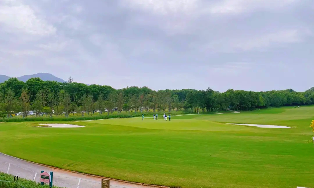 Zhongshan International Golf Club in Nanjing (1)