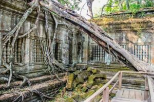 Beng Mealea Temple in Siem Reap, Cambodia (19)