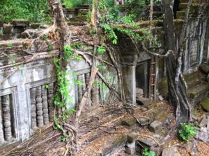 Beng Mealea Temple in Siem Reap, Cambodia (5)