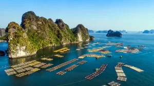 Cong Dam Floating Village in Ha Long Bay (1)