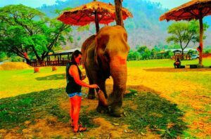 Elephant Rescue Park in Chiang Mai, Thailand (2)