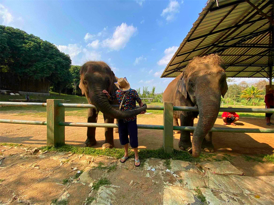 Kanta Elephant Sanctuary in Chiang Mai, Thailand (11)