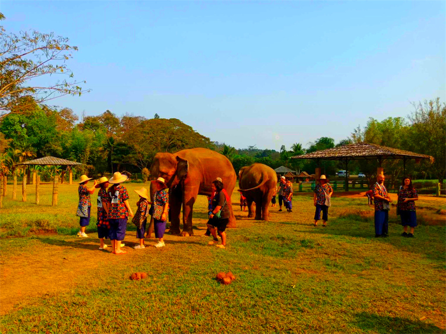 Kanta Elephant Sanctuary in Chiang Mai, Thailand (13)