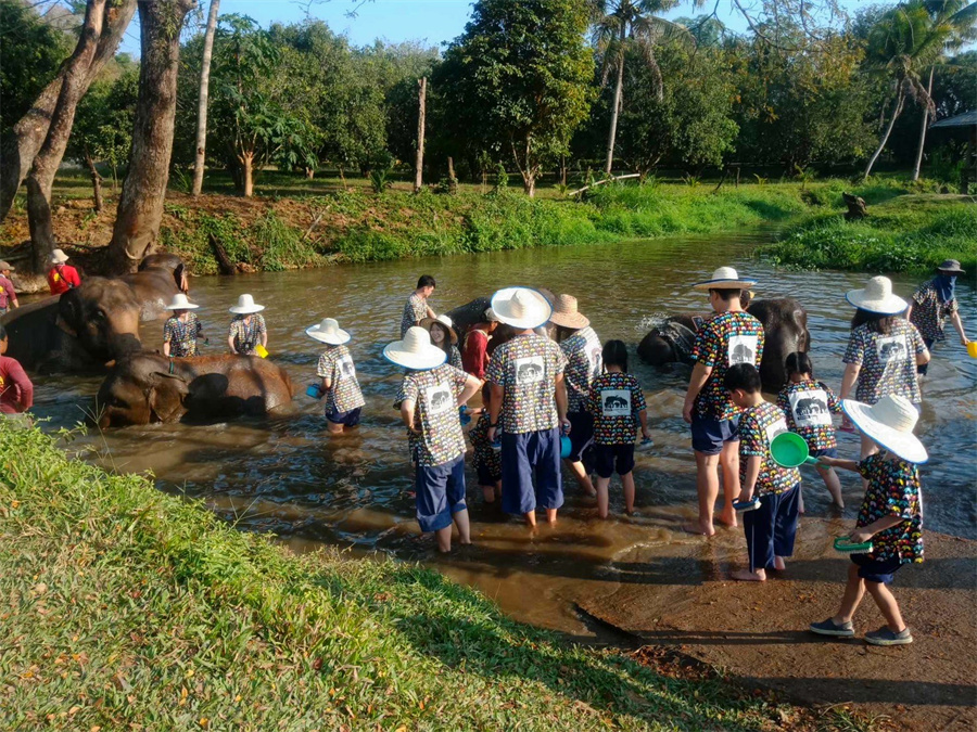 Kanta Elephant Sanctuary in Chiang Mai, Thailand (2)