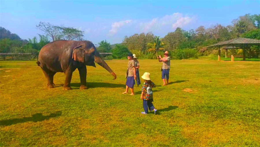 Kanta Elephant Sanctuary in Chiang Mai, Thailand (4)