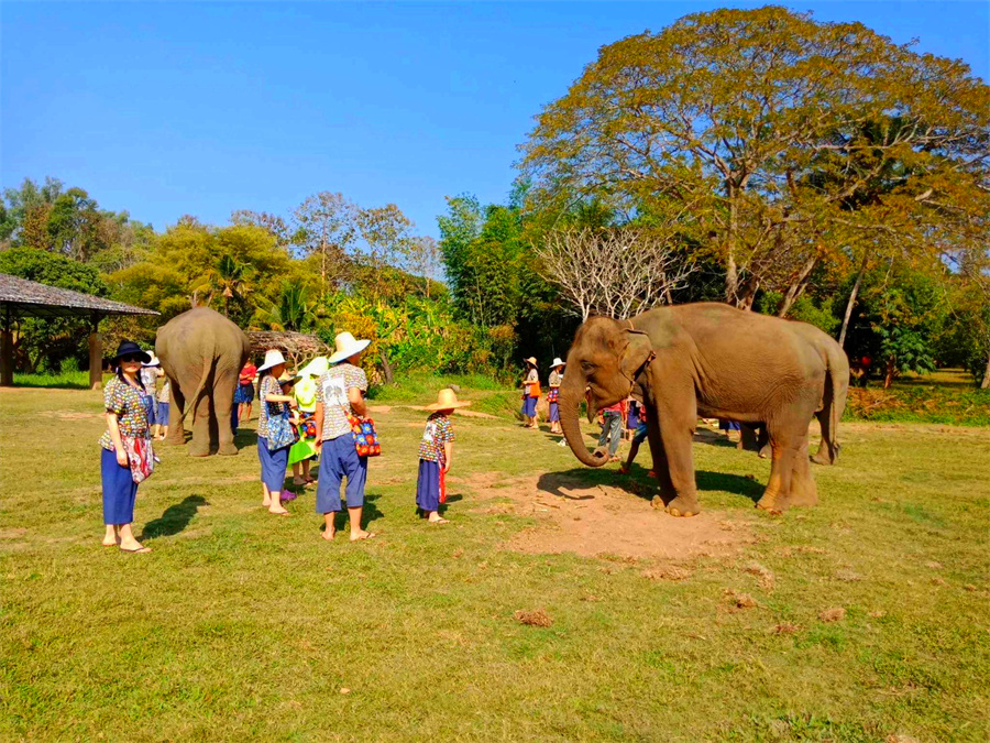 Kanta Elephant Sanctuary in Chiang Mai, Thailand (6)