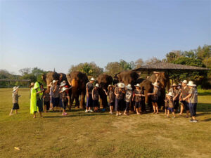 Kanta Elephant Sanctuary in Chiang Mai, Thailand (8)