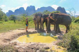 Krabi Elephant Sanctuary in Thailand (3)