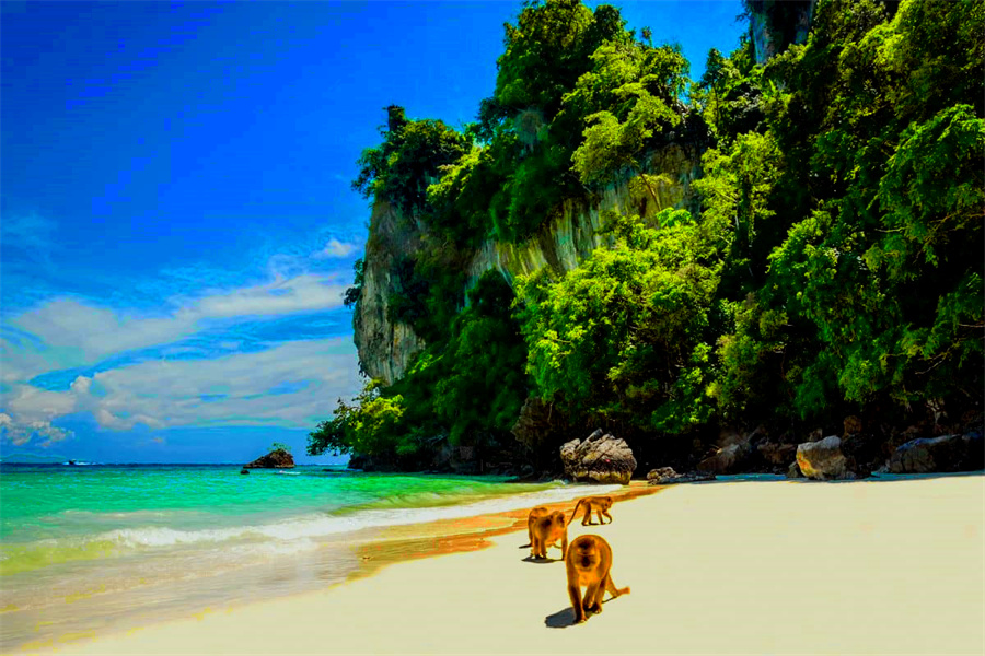 Monkey Beach in Krabi, Thailand (2)