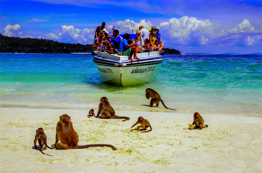 Monkey Beach in Krabi, Thailand (4)