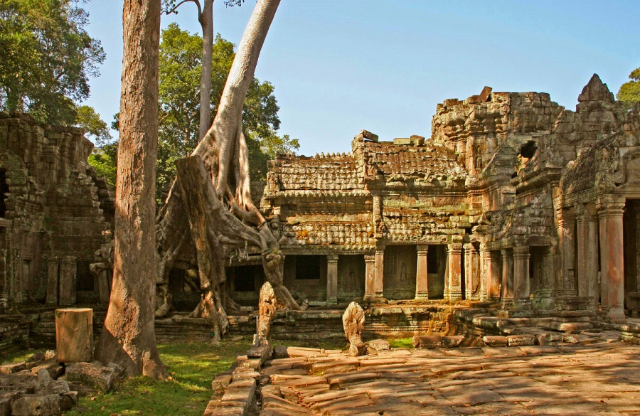 The ruins among a dense jungle setting