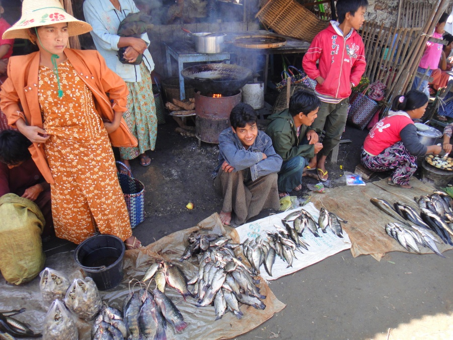 Sittwe Fish Market in Rakhine State, Myanmar (1)