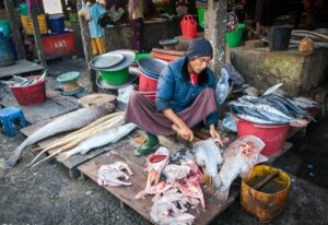 Sittwe Fish Market in Rakhine State, Myanmar (2)