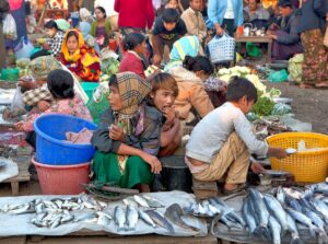 Sittwe Fish Market in Rakhine State, Myanmar (3)