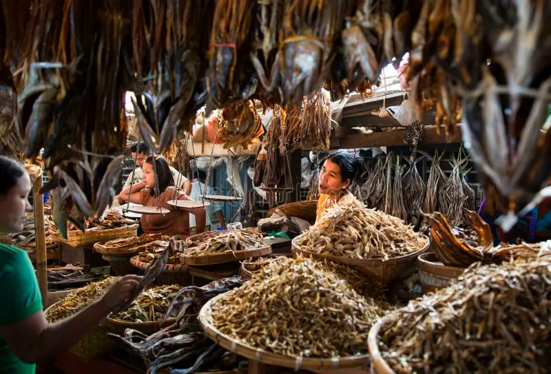 Sittwe Fish Market in Rakhine State, Myanmar (4)