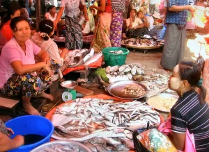 Sittwe Fish Market in Rakhine State, Myanmar (5)