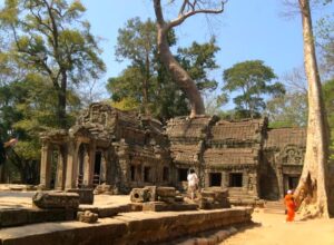 Ta Prohm Temple in Siem Reap, Cambodia (10)