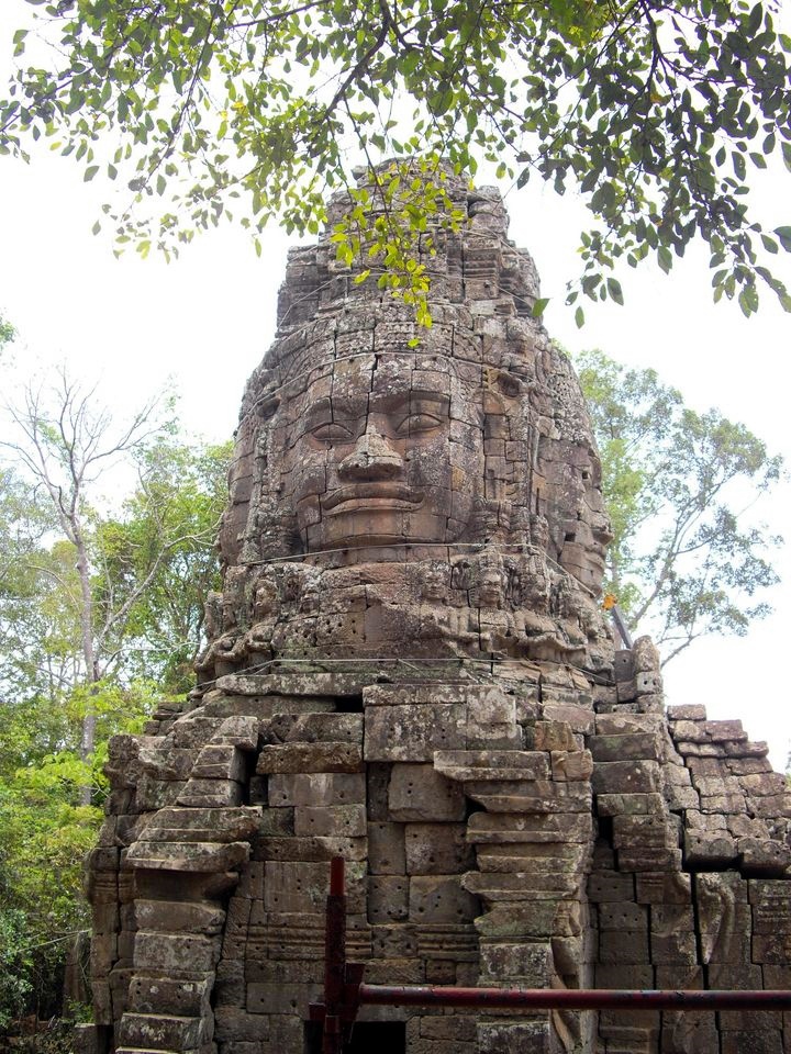 Ta Prohm Temple in Siem Reap, Cambodia (2)