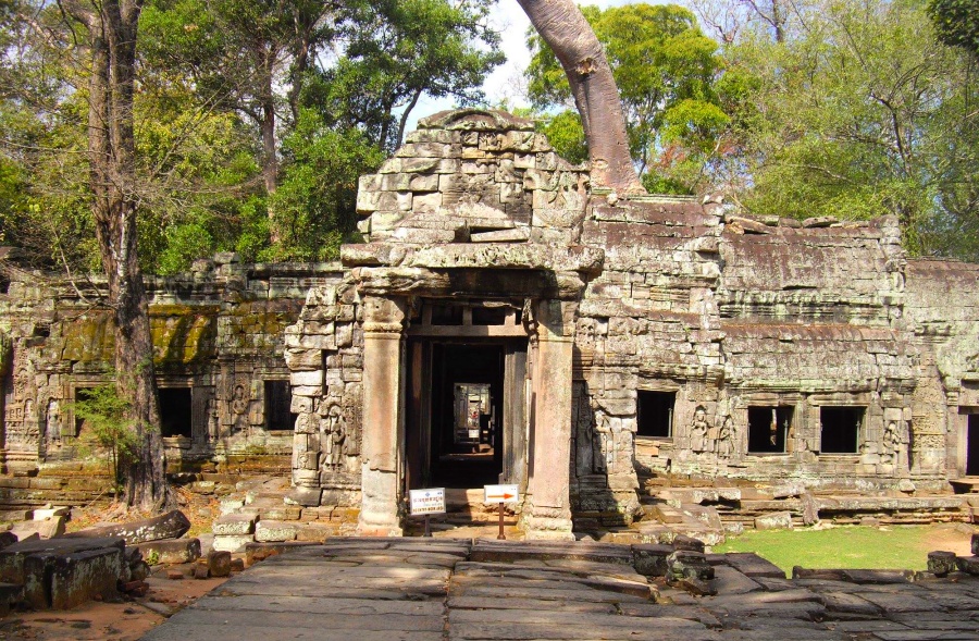 Ta Prohm Temple in Siem Reap, Cambodia (4)