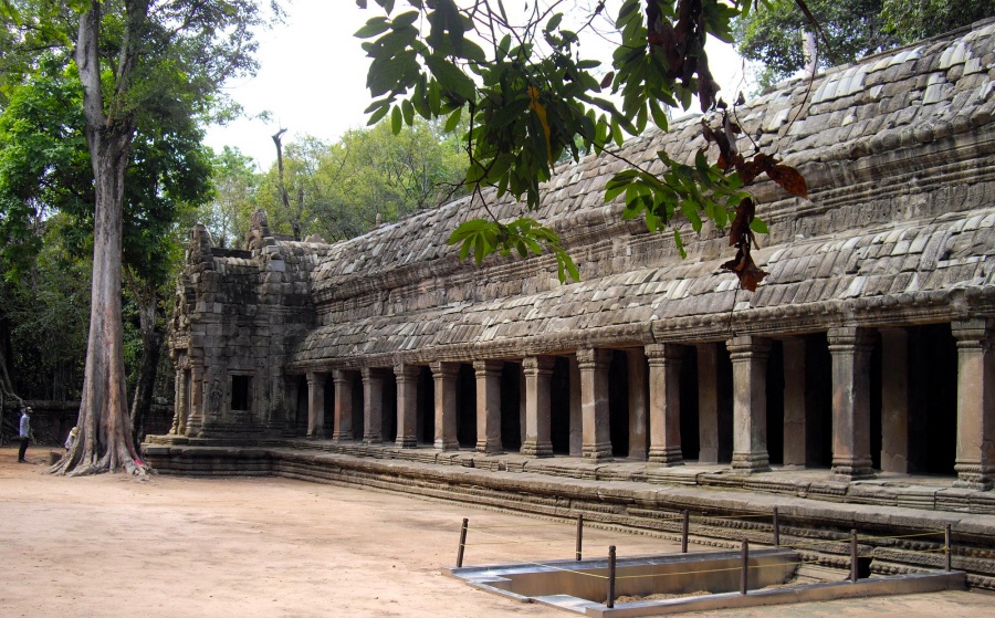 Ta Prohm Temple in Siem Reap, Cambodia (5)