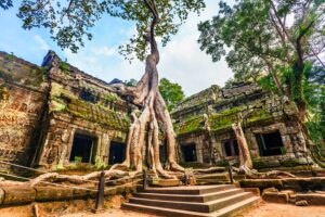 Ta Prohm Temple in Siem Reap, Cambodia (9)