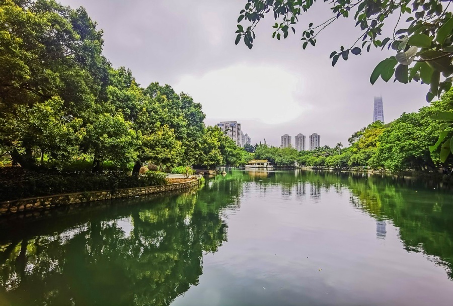 Lizhi (Lychee) Park in Shenzhen (5)