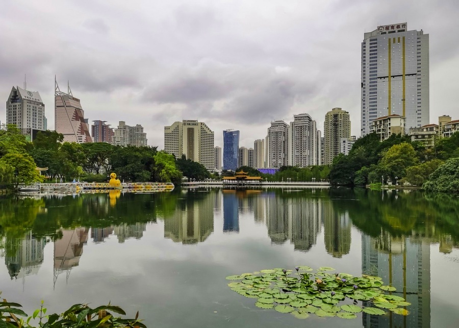 Lizhi (Lychee) Park in Shenzhen (7)